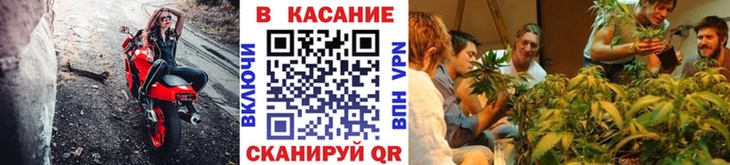 Хочу наркоту Петухово АМФЕТАМИН  Псилоцибиновые грибы  Кокаин  Меф мяу мяу  ГАШИШ  Конопля 