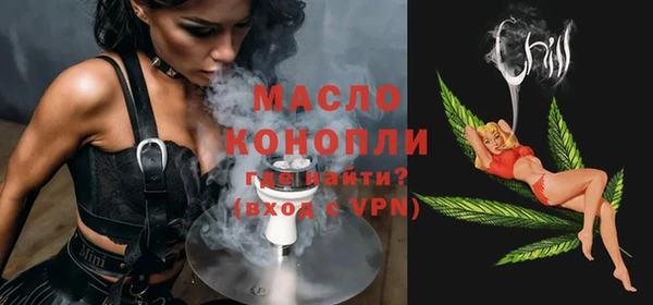 дживик Надым