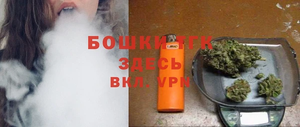 дживик Надым