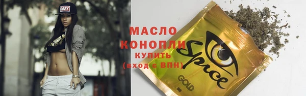 дживик Надым