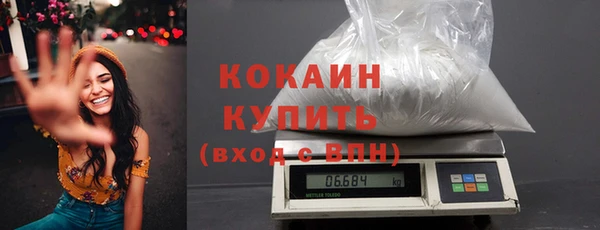 дживик Надым