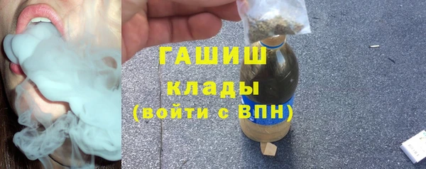 дживик Надым