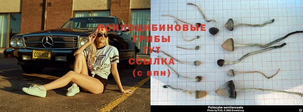 apvp Гусь-Хрустальный