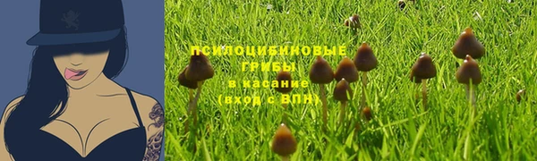 бошки Нефтегорск