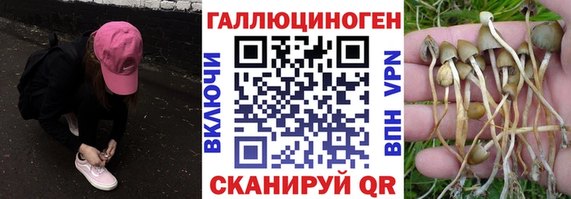 хочу   Петухово  shop клад  Псилоцибиновые грибы прущие грибы 